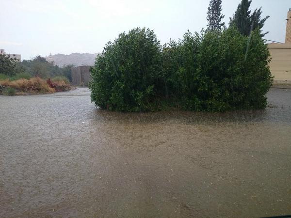 gsscpd's tweet photo. أ��طار غزيره على الهدا... اللهم صيبا نافعا. http://t.co/TfatkRtmoQ