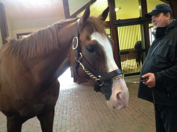 Thanks to <a href="/three_chimneys/">Three Chimneys Farm</a> for letting me visit w/ champ Will Take Charge! This face makes everything better