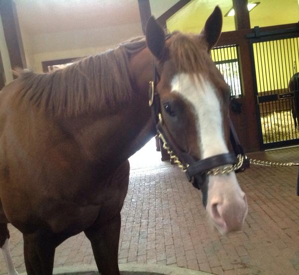 Seriously. This is the ultimate sight for sore eyes. Can not wait to see his babies on the track. #WTC