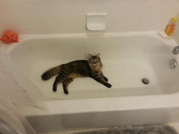 plottability's tweet image. There is something wrong with this picture. Really wrong.