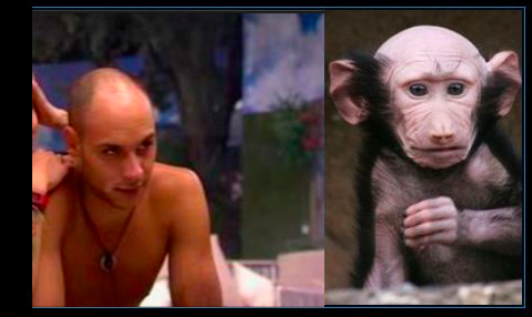 Colmenero's tweet photo. Omar diciendo que Paula se parece a la comadreja de Ice Age 3, espera a salir y ver tus parecidos. #GHÚltimaHora http://t.co/DEYokbcx4E