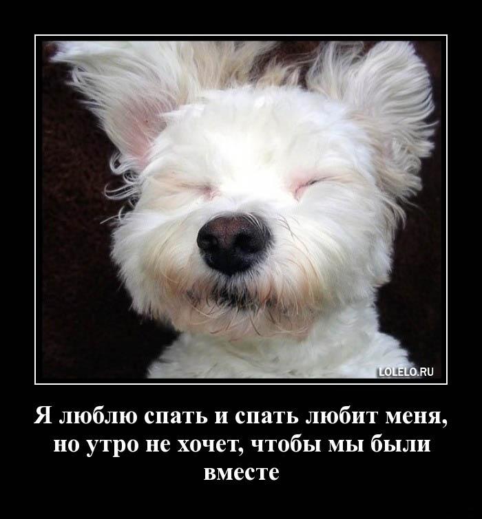 Праздник братьев, спать хочу картинки