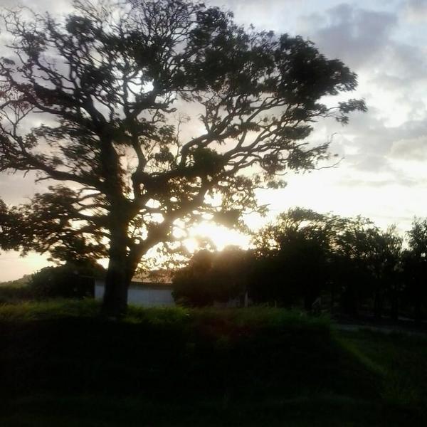 deehphotography's tweet photo. #ASundayafternoon #picture :) http://t.co/bq7ByhW2gd