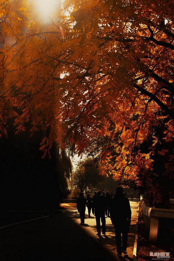 SergioZEvs's tweet image. Сегодня в блоге - krdblog.com/2014/10/Fall.h… - Четыре осенние фотографии