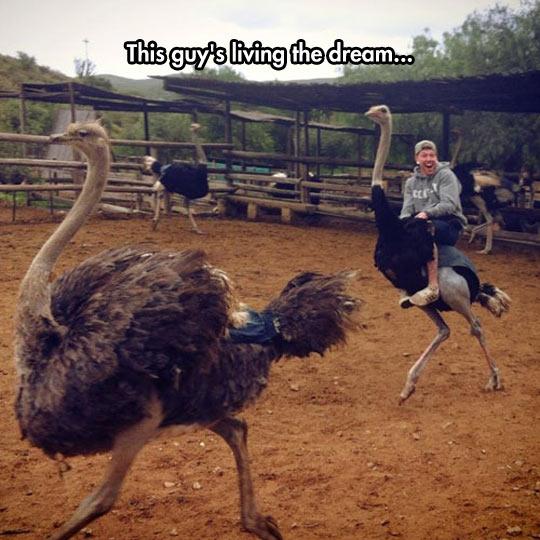 MensHumor's tweet photo. This guy is living the dream... http://t.co/lsF1ydV12M