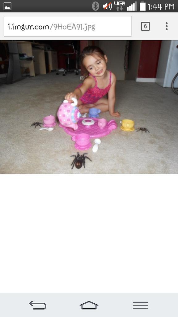 Blinert18's tweet photo. For all my fellow spider lovers #teaparty #aubioverts http://t.co/3NrfaUzHJA