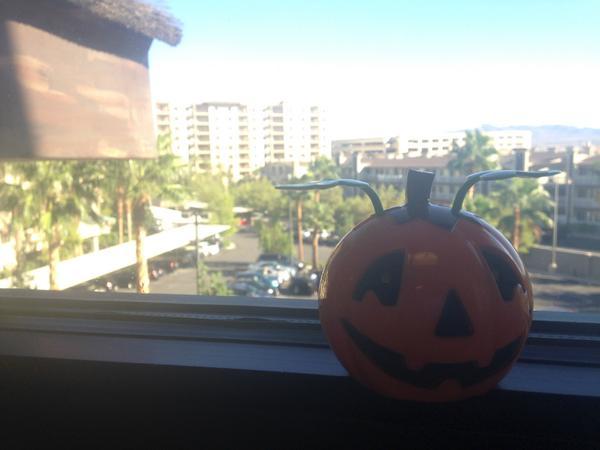 TahitiVillage's tweet photo. MT @TV_Villagers: Beautiful Day @TahitiVillage. From Owner Services we want to say Happy (almost) Halloween! #TV_OS http://t.co/5PCriHCFWQ