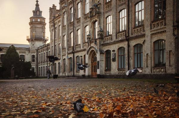 Embedded image permalink