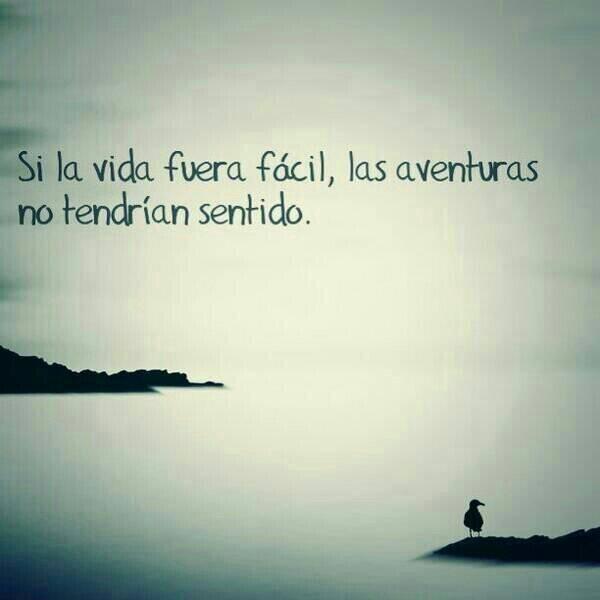 waldemar_erick tweet picture