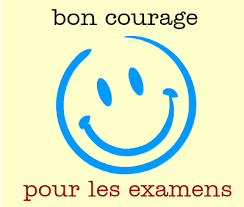 Lot De 12 Cartes Bonne Chance Pour Examens – Unisexe – 4 Modèles Différents – GCSE Tests Simulacres