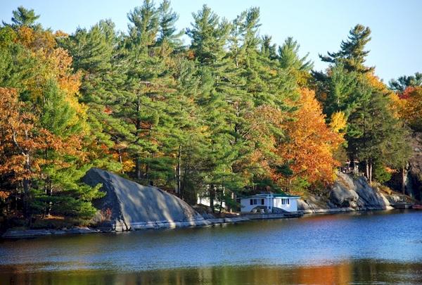De paseo con <a href="/latabla_vivero/">просто лампочка</a> por los bosques de España en #otoño elblogdelatabla.com/2014/10/de-bos…