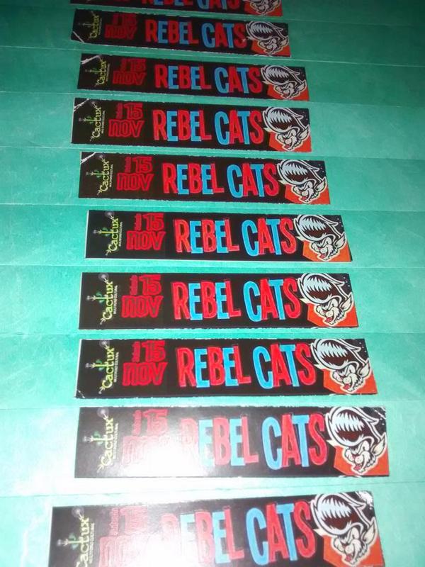 Listas las preventas para Rebelión Cats, 15 de nov.