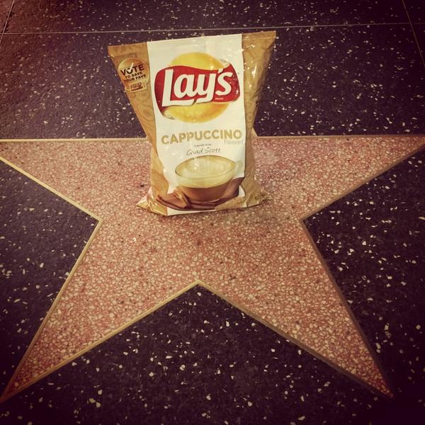 SaveCappuccino's tweet photo. Vote to help Cappuccino shine!           RT or Tweet: #SaveCappuccino http://t.co/ivFhb32yGB http://t.co/1i5eQ8fwkP