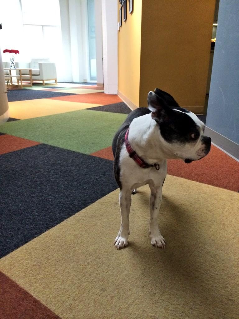 Embedded image permalink