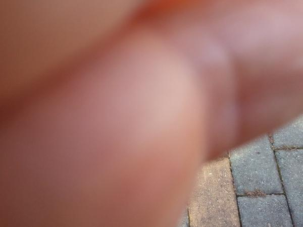 1wlgur's tweet photo. 강경발효젓갈축제 자원봉사 나왔습니다 http://t.co/KAJMNf0YaO