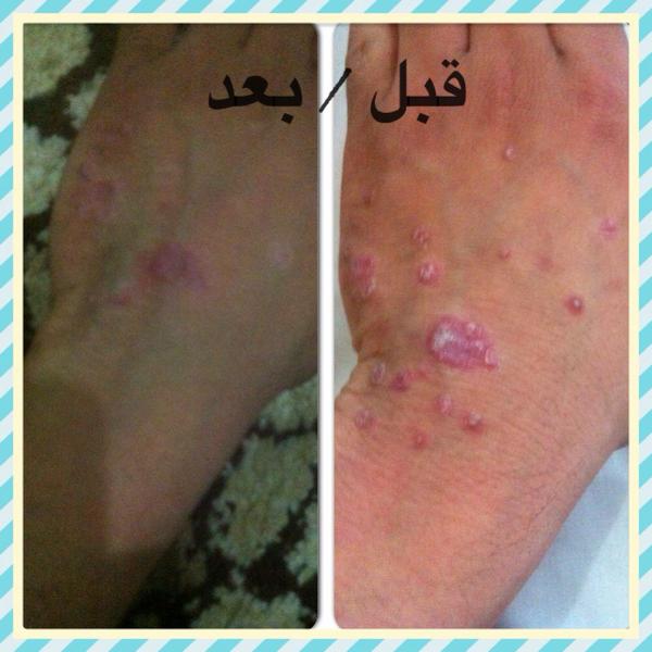 TalalBarak's tweet photo. http://t.co/AwsIFj0j5n
