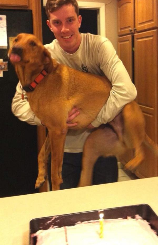 JWayAllDay's tweet photo. Mans best friend. http://t.co/CzHoO5fzDC