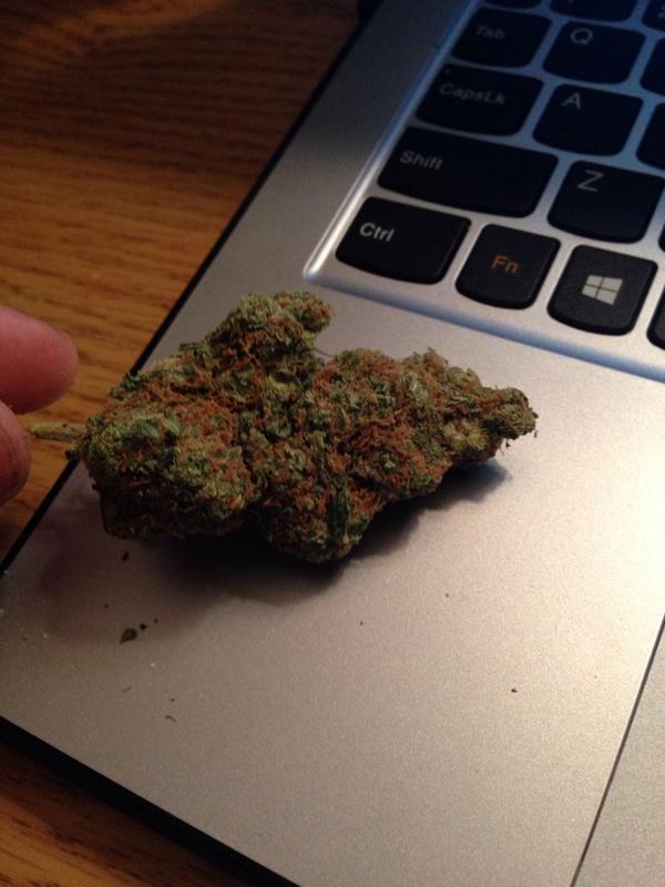 DabbedOut_'s tweet photo. Surprised I didn't burn my fingers rolling up a joint of this fire 🔥🔥🔥🔥 http://t.co/KqO7bdPOOj