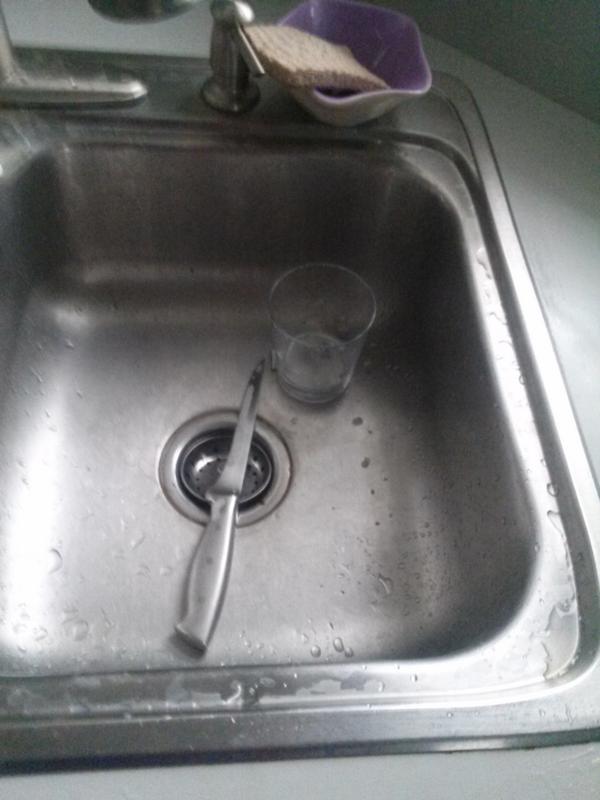 ReuseEverything's tweet image. Best way to do the dishes while on the #4liters challenge? Not to do them. Yeah, just let them sit.