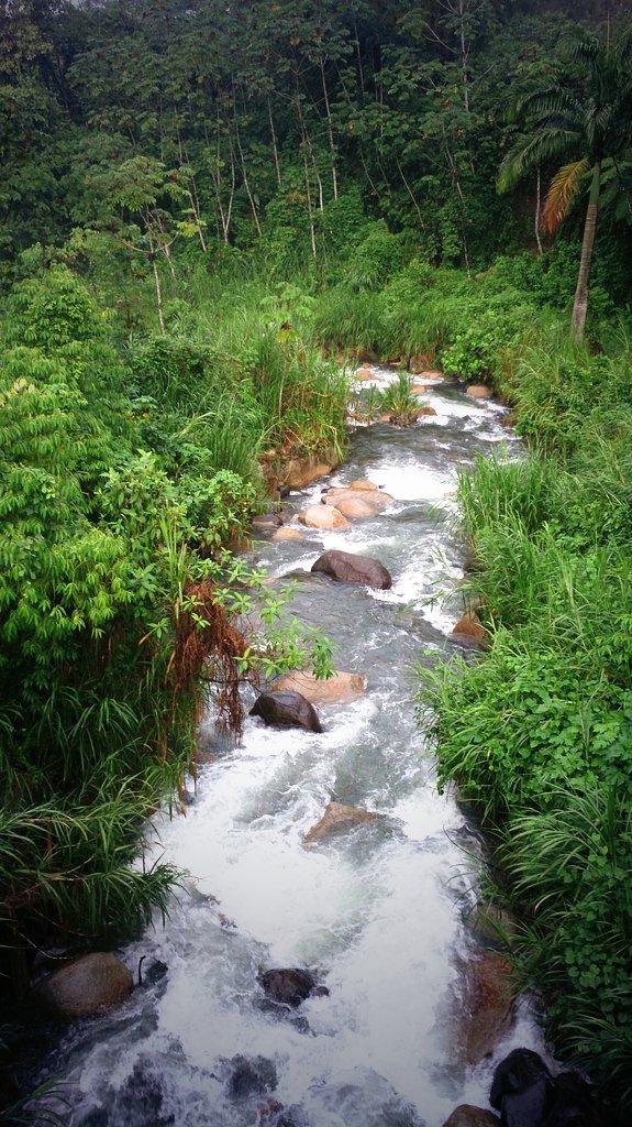 TesorosdeChiapas tweet media