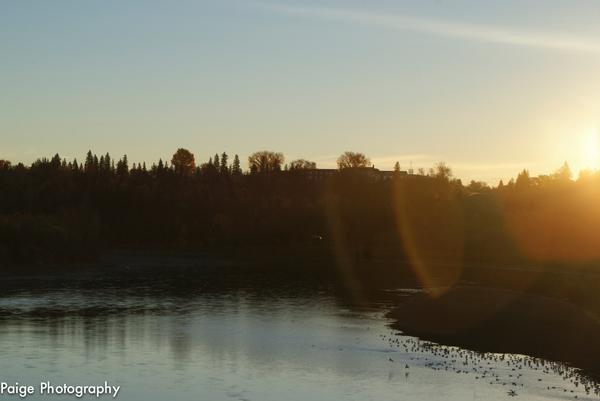 iampaigeb's tweet image. inanimate objects can make REALLY amazing photos. #photography #inanimateObjects