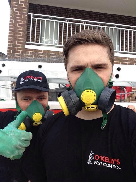 O'Kelly Pest Control (Pesty67) Twitter