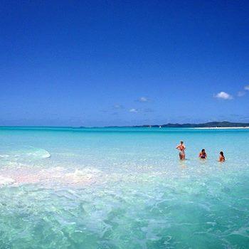 We love Hamilton Island!!!!