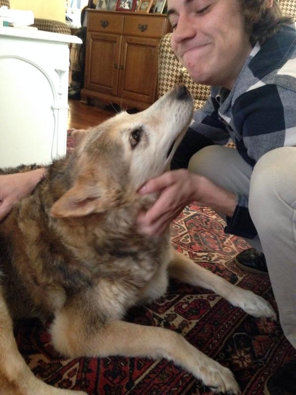 Missing dog in Sykesville, MD. He's a big, fluffy, sandy colored dog appropriately named Sandy. retweet please!!