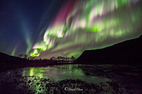 ObservingSpace's tweet image. Northern lights &amp;amp; the #moon over #Sortland, #Norway
Credit: F. Olsen spaceweathergallery.com/indiv_upload.p… #aurora #northernlights