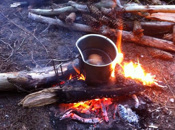 trickyprepper's tweet image. Wood lice look funny but taste pretty good, after you cook them, like shrimp. Lots of proteine, nice snack!