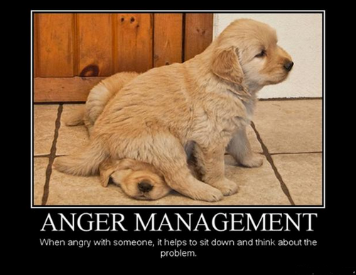 Assignmentskey's tweet photo. hahaha do you need anger management too    #Help #student #study #assignment #work http://t.co/3Czl3hVCug