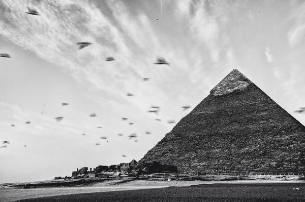 MagicMoments143's tweet image. Amazing photo of the Great Pyramid in Egypt during #GreatConvergence w The Do LaB. Photo by Galen Oakes #epic