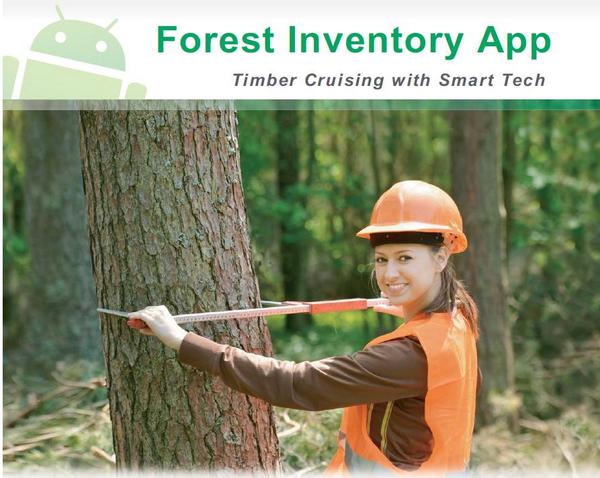 лесной инженер. работник леса. инженер лесного хозяйства в лесу. инженер лесного дела. лесной инженер.