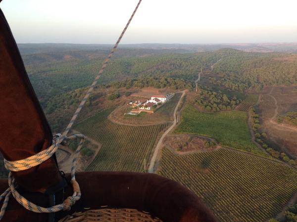 Up Alentejo tweet media