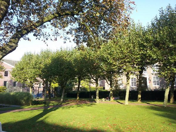 LucTanja's tweet image. Amsterdam is prachtig (in @hoftuin )