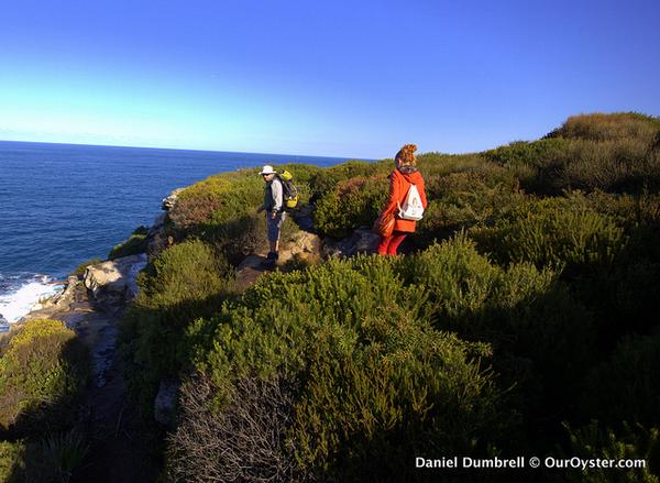 Australia – Sydneys Royal National Park With Royal Coast Walks bit.ly/1pvOh6p