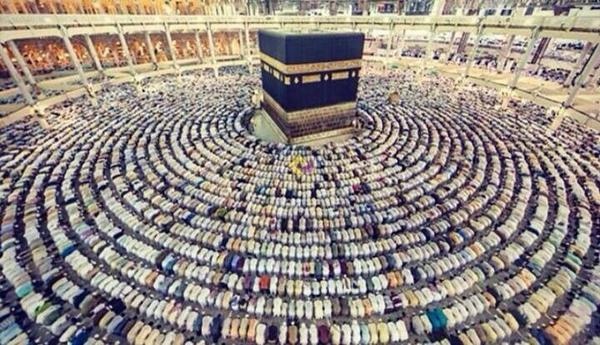 هذه الصورة فوق كل اللغات.