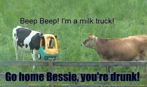 ScarletHeifer's tweet photo. Sometimes it's the simple stuff that makes us smile http://t.co/NbFzhImDpV