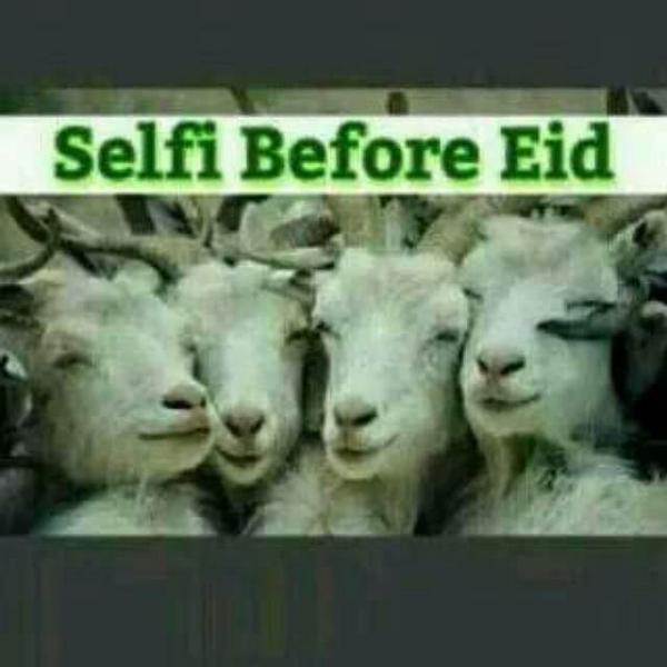 ritaaja's tweet photo. http://t.co/NGATipUJSg
