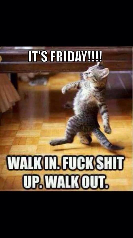 HANESR13's tweet photo. Hey @darryllamb @Hallzy44 #TGIF http://t.co/u8GdmR5HSM