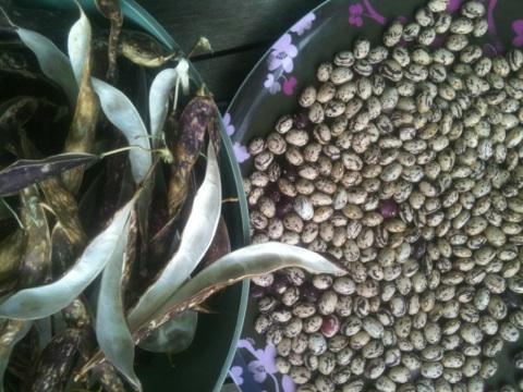 Not original but miraculous!
From the plot.