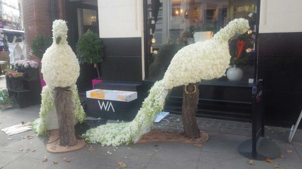 Gorgeous floral birds on leather lane! #wildaboutflowers