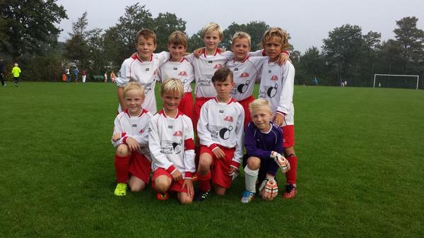 Bron: De Foresters