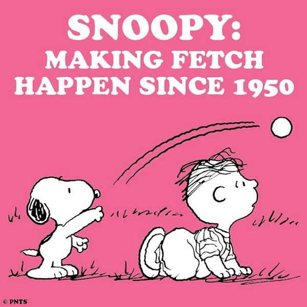 The perfect present. Indefinite pronouns. Анекдот лишь бы у соседа корова. Conditionals правило. У соседа корова подохла поговорка.