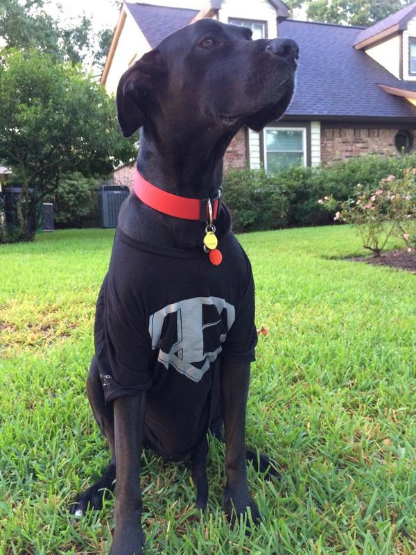 Super Kaiser is industry-forged and part of <a href="/EnertiaSoftware/">Enertia Software</a>'s winning team. #oilandgas #superdane #dogselfie