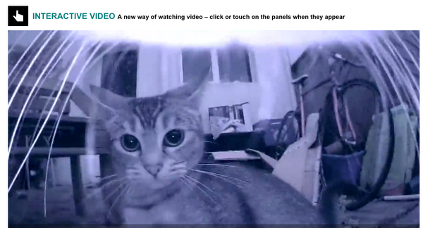 erickschonfeld's tweet photo. Seriously, the engagement on this BBC cat video is bonkers. #TouchCats http://t.co/q6YV172mTz http://t.co/9An9dojKoA http://t.co/9An9dojKoA