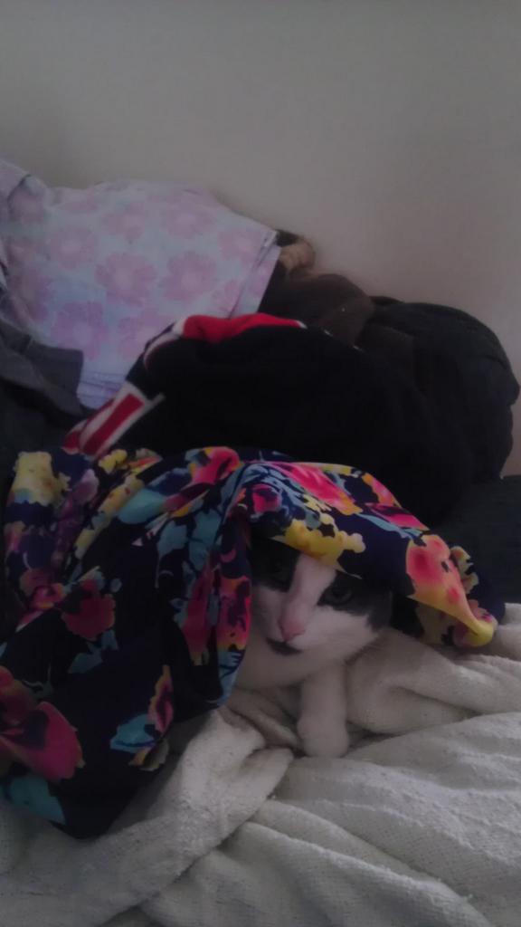 dea_rae (@DanellaSheid) | Twitter