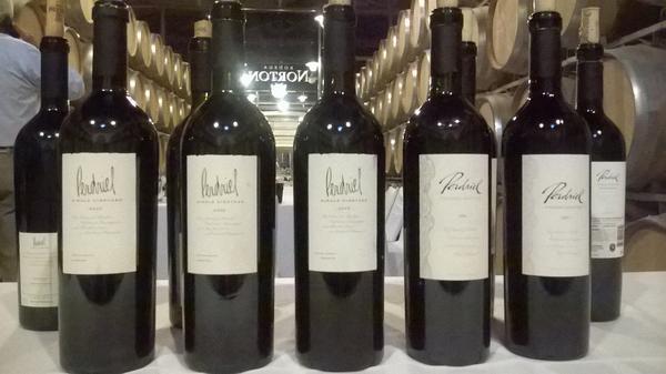 Vertical de Perdriel Vineyard Selection 2000 al 2007 , en sala de barricas <a href="/BodegaNorton/">Bodega Norton</a>