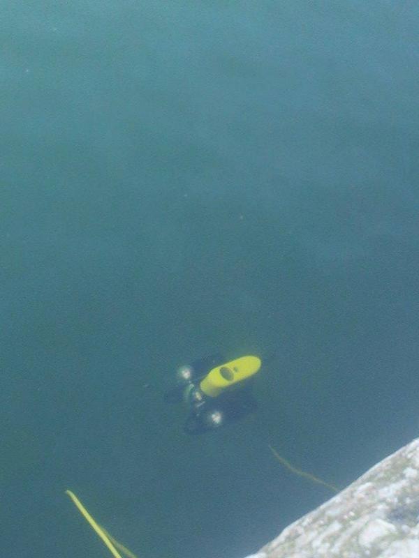 <a href="/SeaLiftDiving/">Sea-Lift Diving Ltd</a> can offer ROV Services #RemotelyOperatedVehicles