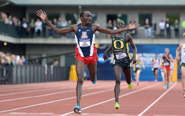 USTFCCCA's tweet photo. More Dramatic @AZATHLETICS over @GoDucks victory: last night in football or Lalang over Ches at 5k in June? http://t.co/ZDIWjs3rIO